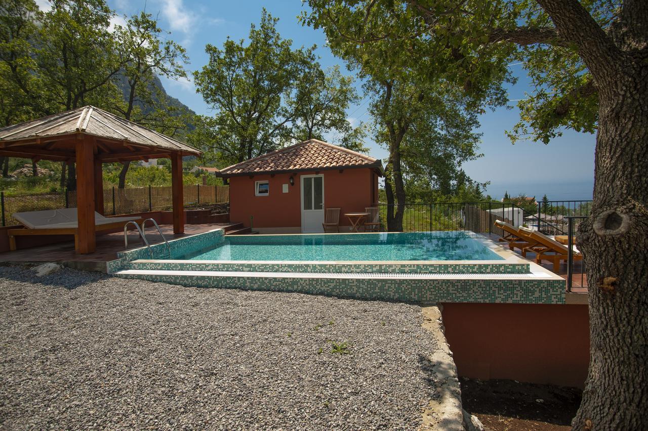 Harmonia & Pool
