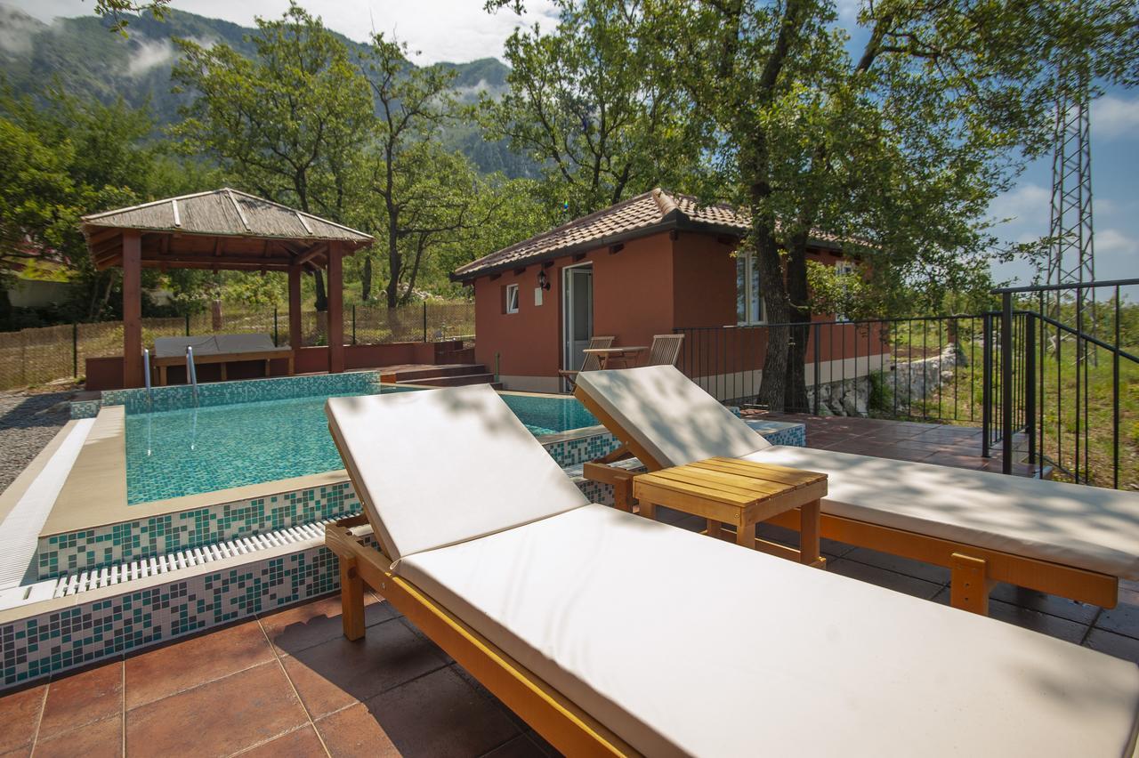 Harmonia & Pool *