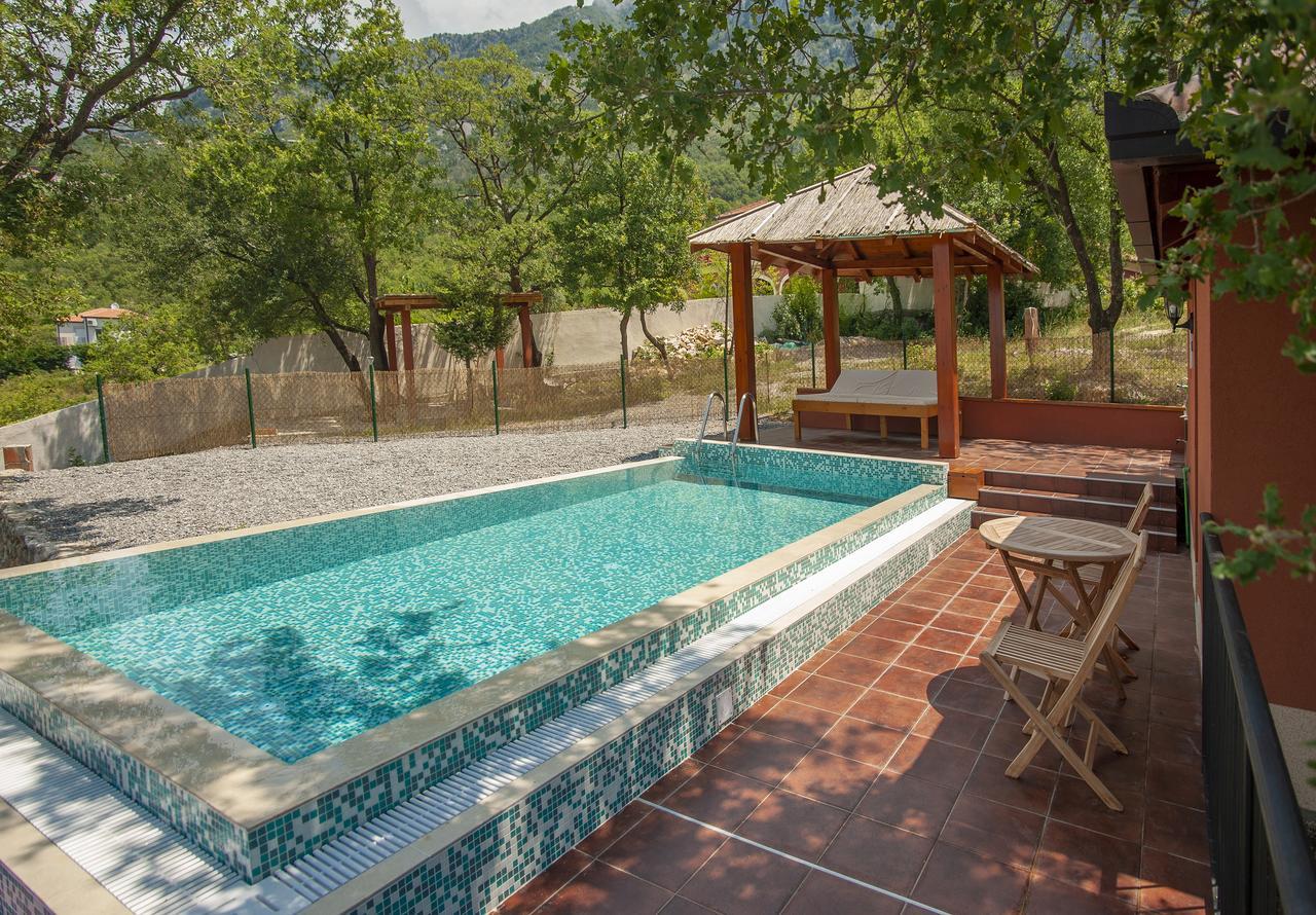 Harmonia & Pool Apartment